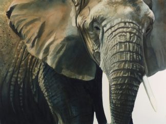 Tusker